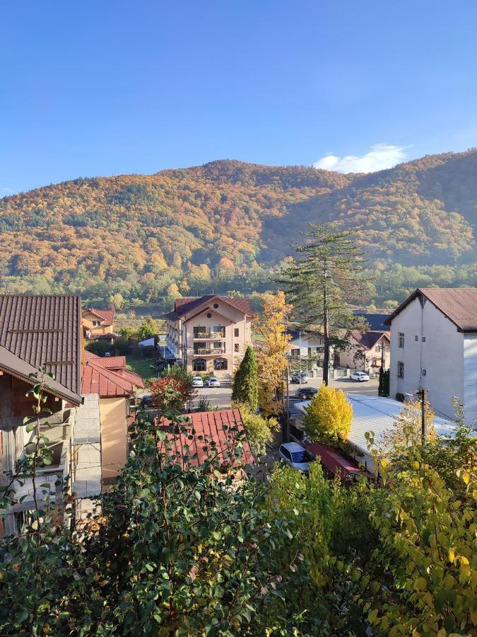Vila Brazilor Caciulata Eksteriør bilde